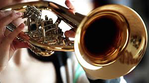 Ultrasonics, Perfect for Cleaning Brass Instruments